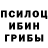Галлюциногенные грибы GOLDEN TEACHER Patrick Murawski