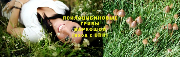 кокаин колумбия Инсар